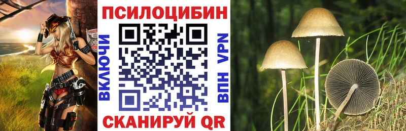 купить наркотик  блэк спрут зеркало  Псилоцибиновые грибы прущие грибы  Уяр 
